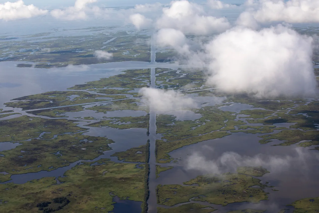 Coastal waters flow through deteriorating wetlands on August 22, 2019 in Plaquemines Parish, Louisiana. (Photo by Drew Angerer/Getty Images)