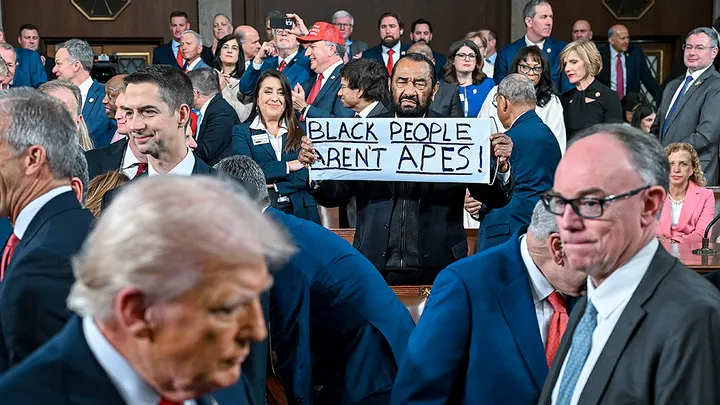 The speech included a few outbursts from Democrats, most notably when Texas Democratic Rep. Al Green. (Kenny Holston-Pool/Getty Images)