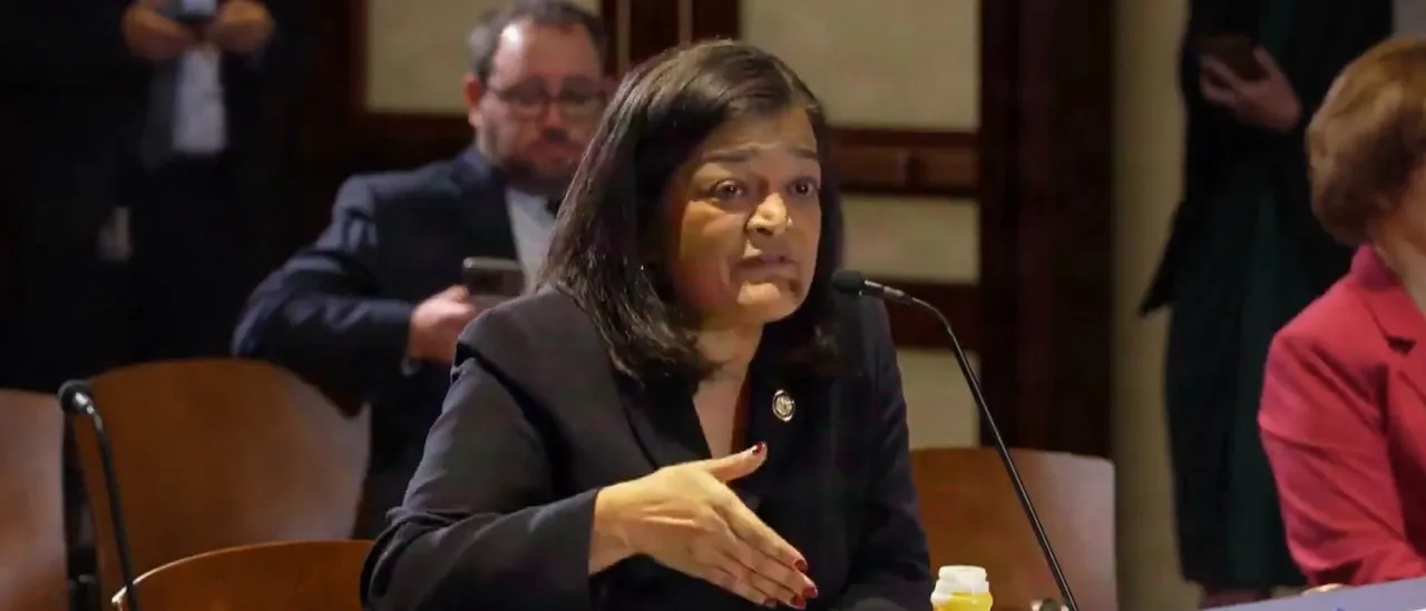 Democrat Rep. Jayapal Floats ‘Reparations’ for Illegal Immigrants—Yes, Really