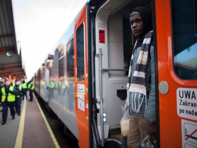 Ukraine Eyes African Migration to Fill Workforce Gaps Amid War Strain