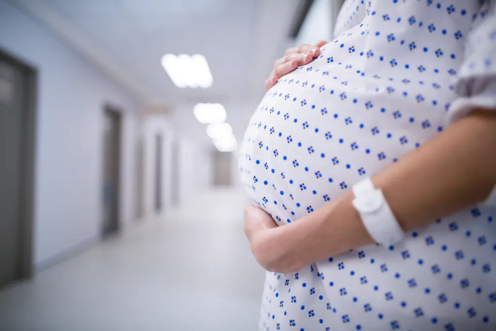 Even some Democrats rolled their eyes at the erasure of mothers from family law. WavebreakMediaMicro &ndash; stock.adobe.com