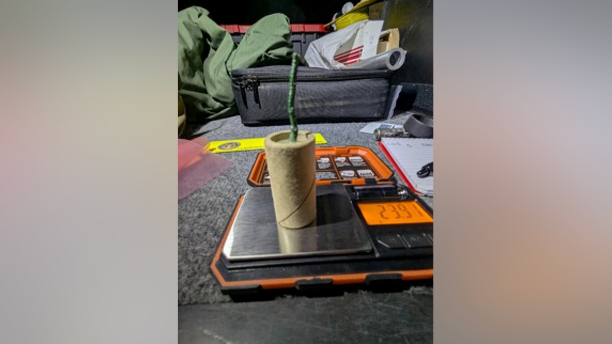 California Man Charged After Allegedly Bringing Explosive Device to Airport Security Checkpoint