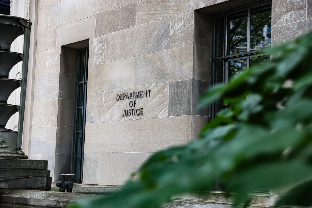 Eidleh faces 31 counts related to the massive welfare fraud scheme. dpa/picture alliance via Getty Images
