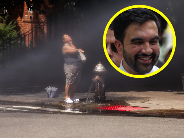 Imagen destacada