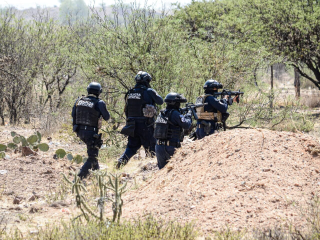 Cartel Video Accuses Mexican Government of Corruption After Bodies Hung From Highway Overpass