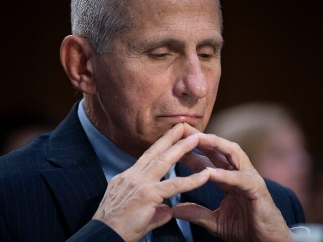 Bombshell Texts Expose Fauci's Private Vaccine Worries for Pregnant Women