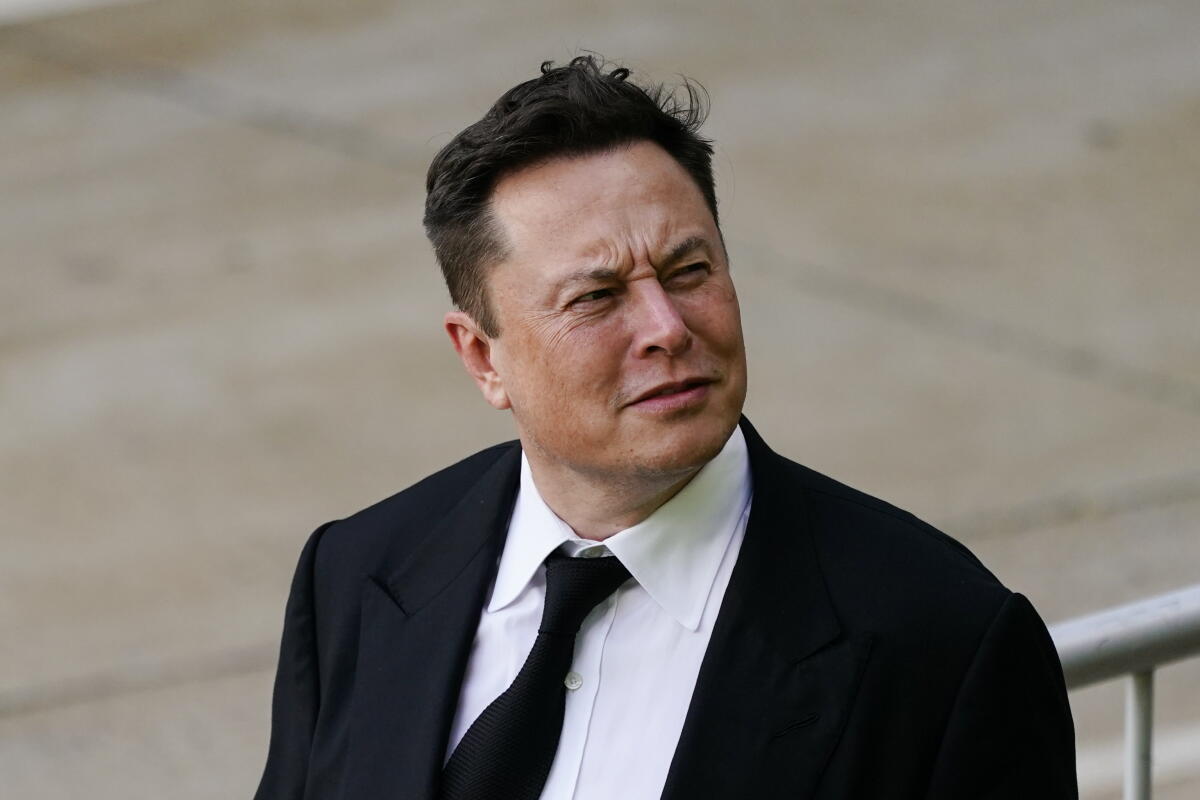 Elon Musk Obliterates Texas Democrat James Talarico’s Unhinged Rant with a Devastating One-Word Truth