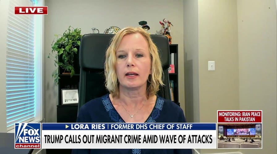 Virginia's Deadly 'Sanctuary': DHS Blames Governor's ICE Rollback for Toddler Murder