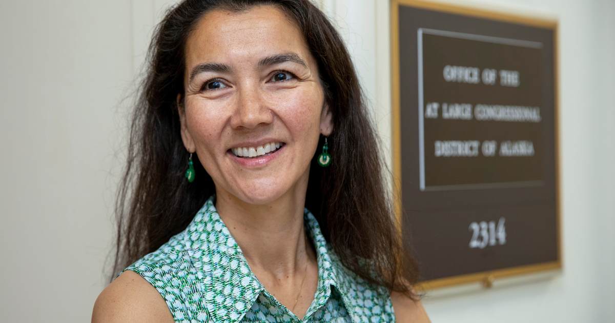 Democrat Campaign Chair Caught in Hilarious 'Struggle Session' Over Deceptive 'Decoy Dan' Election Scheme