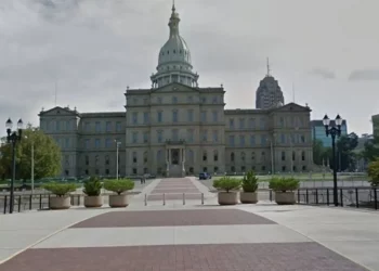 Michigan House passes bill making wrong pronouns a felony, fineable up to $10,000
