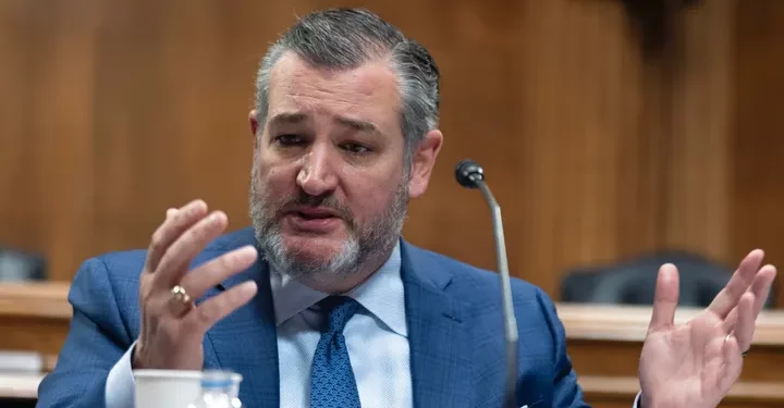 Ted Cruz predicts illegal immigration will ‘plummet’ immediately after Trump’s inauguration