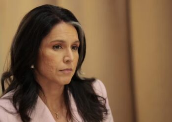 Tulsi Gabbard Targets ‘Deep-State’ Intelligence Leakers With Criminal Referrals